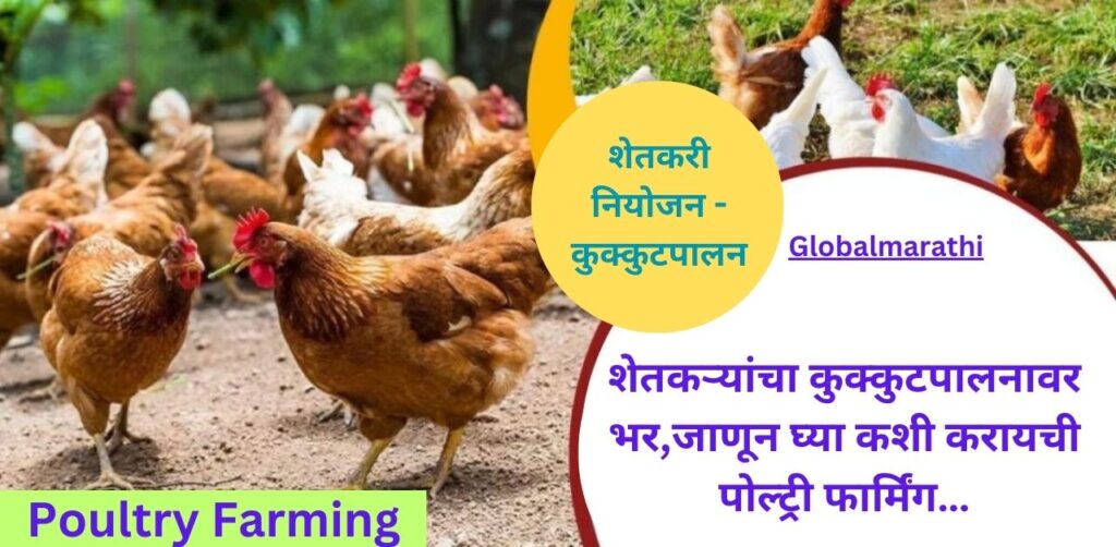 Poultry Farming