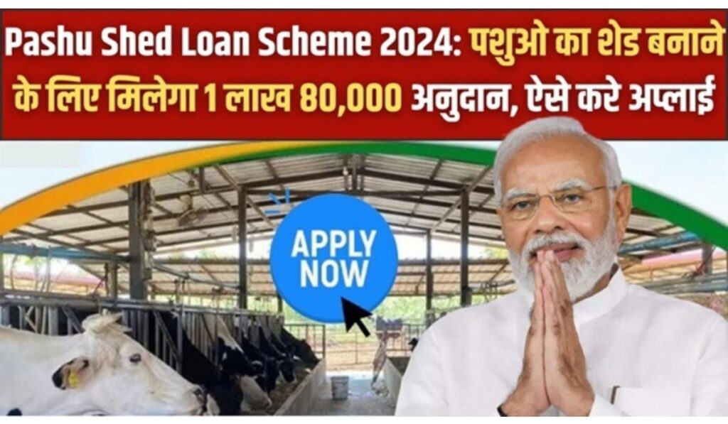 Pashu Shed Subsidy Scheme 2024