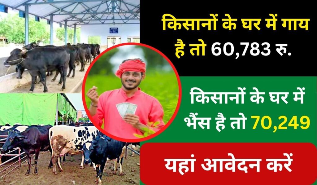 Animal Husbandry Apply 2025